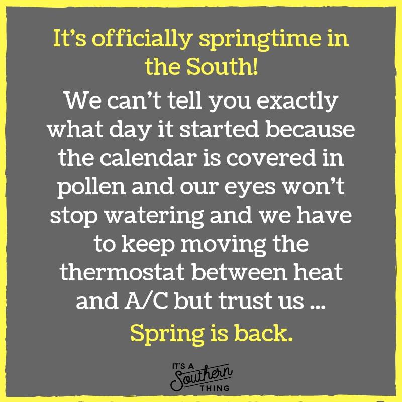springtime means pollen and Kleenex
